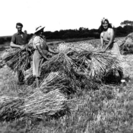 Maréchal Fraîcheur - Une famille passionnée