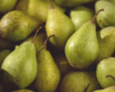 Cagettes de fruits