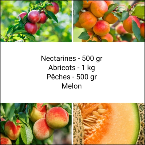 Panier tout Fruits