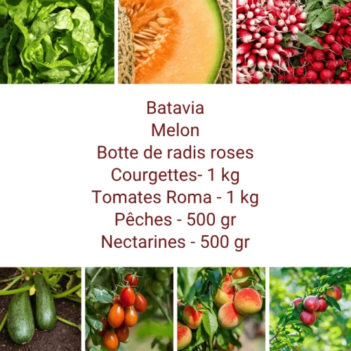 Panier MIDI Fruits & Légumes
