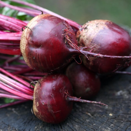 Cagette de betteraves rouges crues