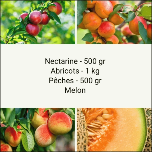 Panier Tout Fruits