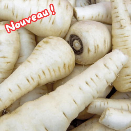 Panais