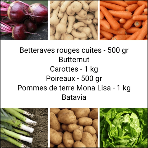 Panier MINI Tout Légumes