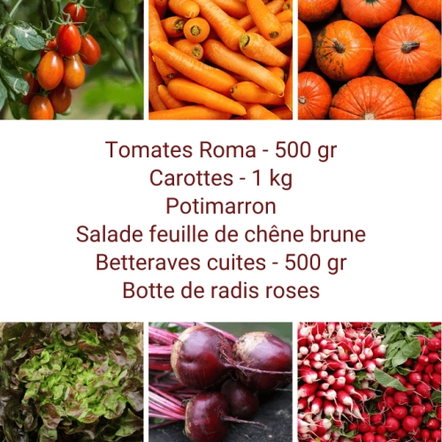 Panier MINI Tout Légumes