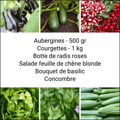 Panier MINI Tout Légumes