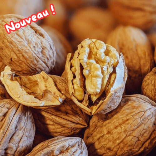 Noix de Grenoble AOP