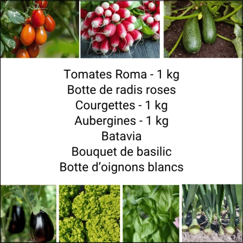 Panier MIDI Tout Légumes
