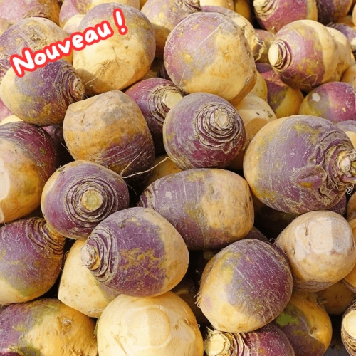 Cagette de rutabagas