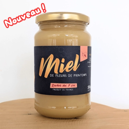 Miel de fleurs de printemps