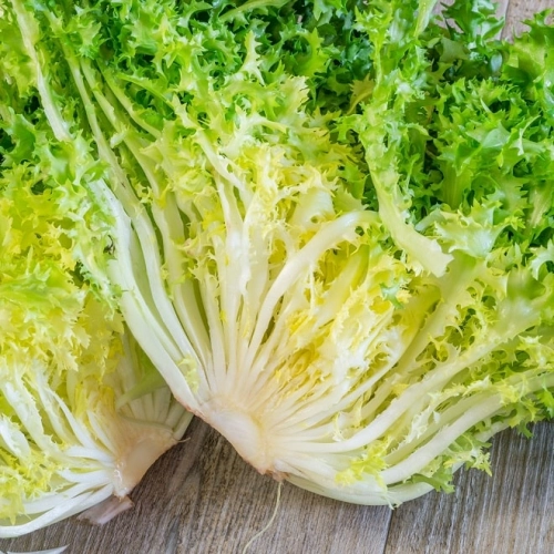 Salade frisée