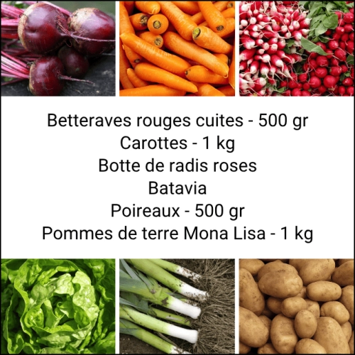 Panier MINI Tout Légumes