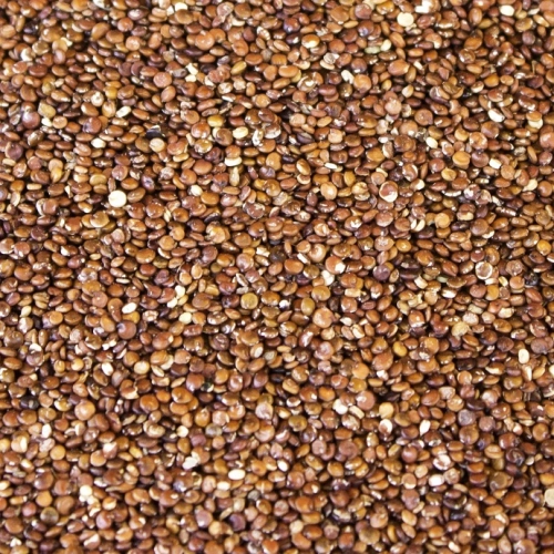 Quinoa rouge