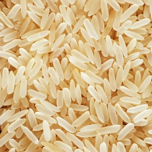 Riz long demi-complet BIO de Camargue IGP