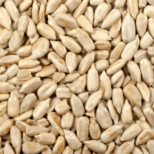 Graines de tournesol BIO