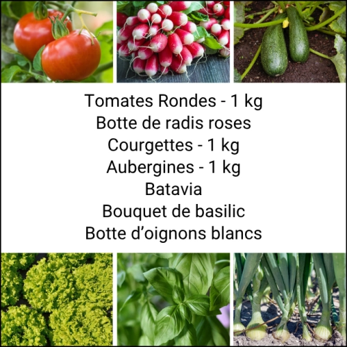 Panier MIDI Tout Légumes