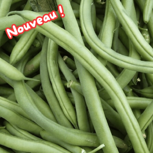 Haricots verts machine