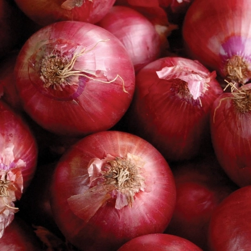 Cagette d'oignons paille rouges