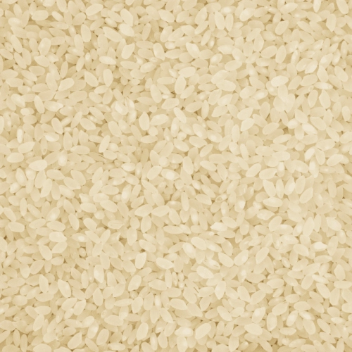 Riz rond de Camargue IGP spécial Paëlla