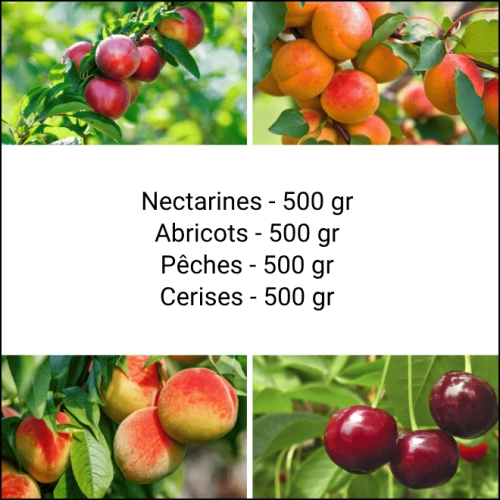 Panier Tout Fruits