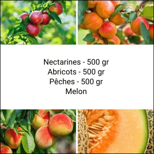 Panier Tout Fruits