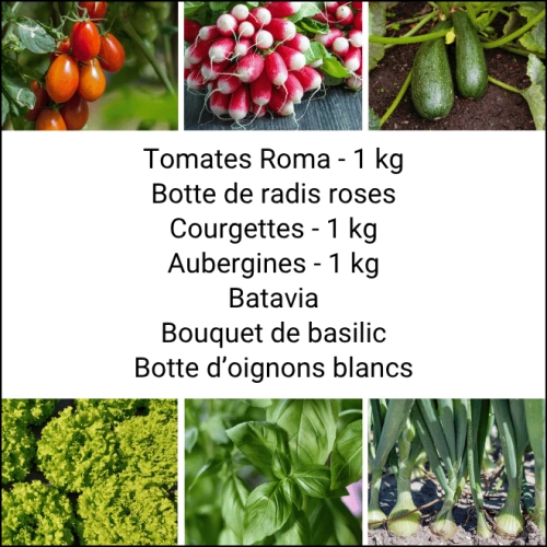 Panier MIDI Tout Légumes