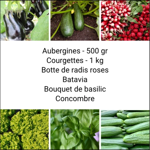 Panier MINI Tout Légumes