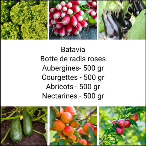 Panier MINI Fruits & Légumes