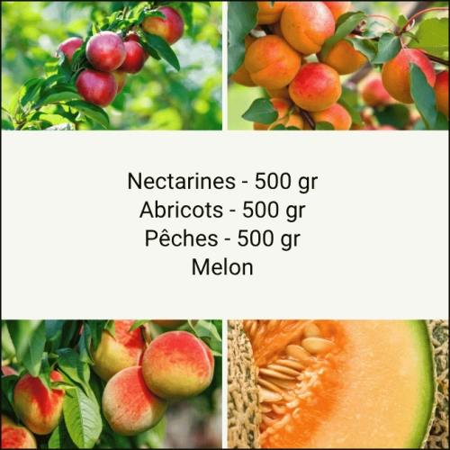 Panier tout Fruits