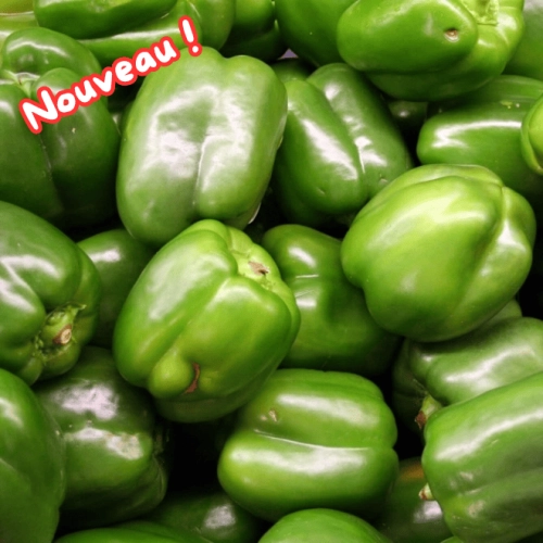 Poivrons verts