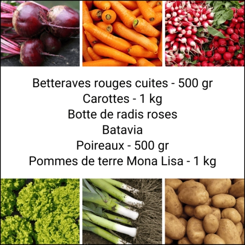 Panier MINI Tout Légumes