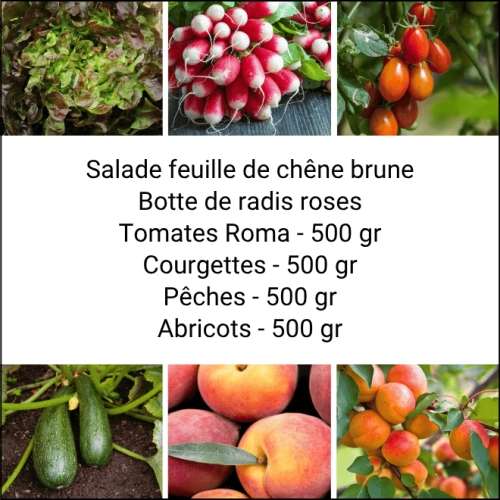 Panier MINI Fruits & Légumes