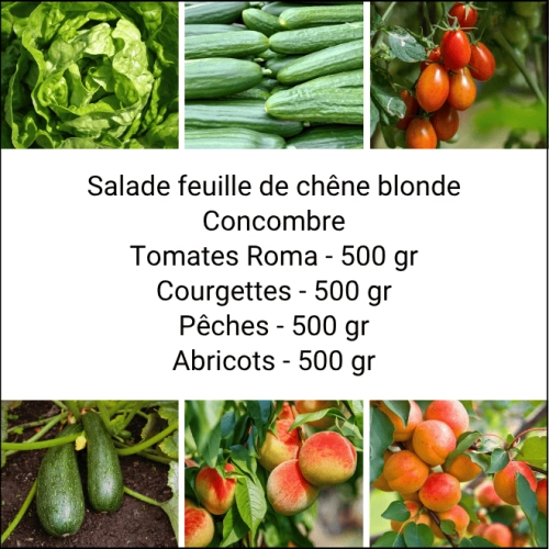 Panier MINI Fruits & Légumes