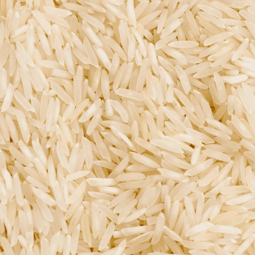 Riz long blanc de Camargue IGP