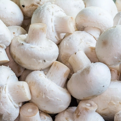 Cagette de champignons blancs