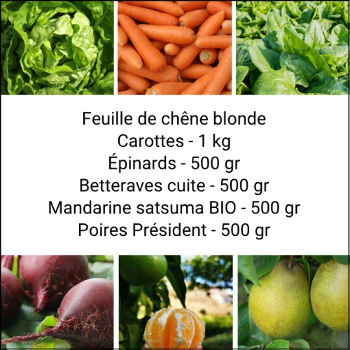 Panier MINI Fruits & Légumes