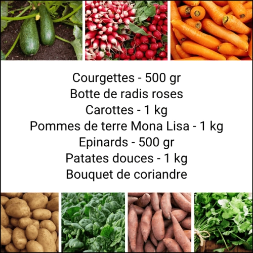 Panier MIDI Tout Légumes