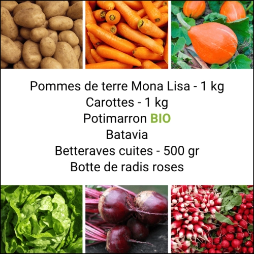 Panier MINI Tout Légumes