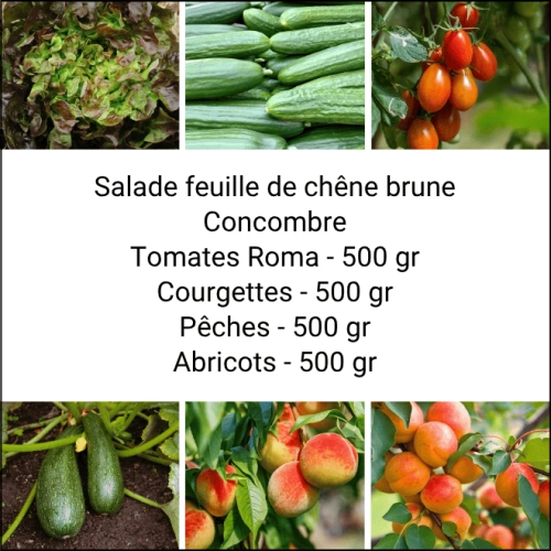 Panier MINI Fruits & Légumes