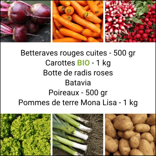Panier MINI Tout Légumes