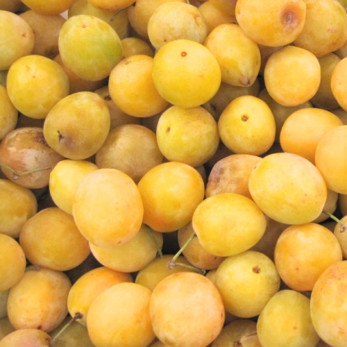 Mirabelles
