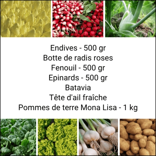 Panier MIDI Tout Légumes
