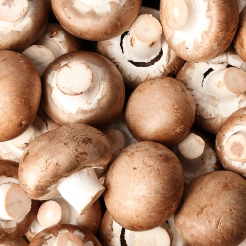 Champignons bruns