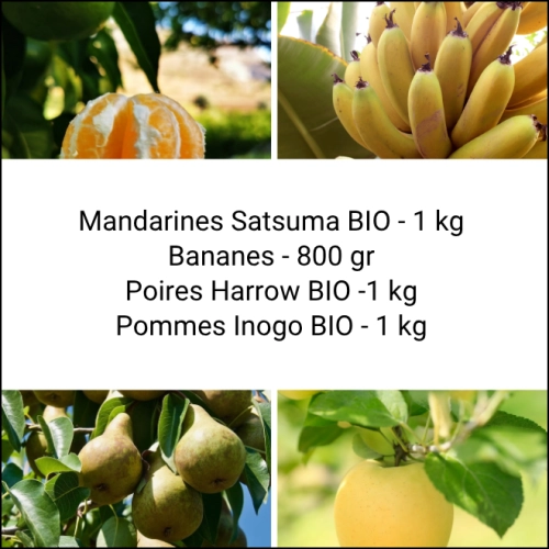 Panier tout Fruits