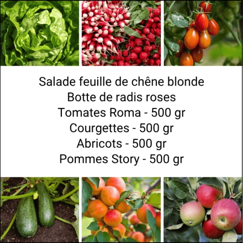 Panier MINI Fruits & Légumes