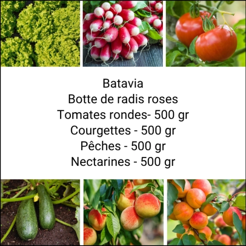 Panier MINI Fruits & Légumes