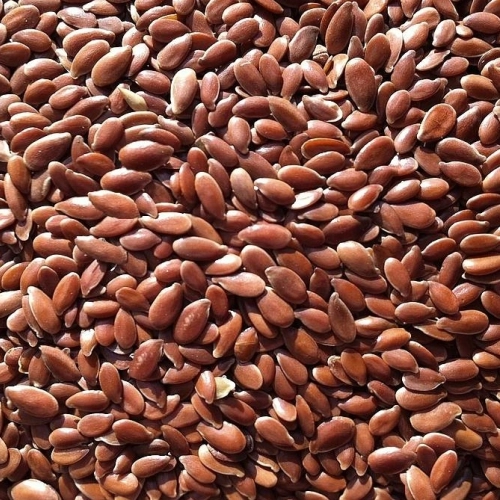 Graines de lin brun BIO