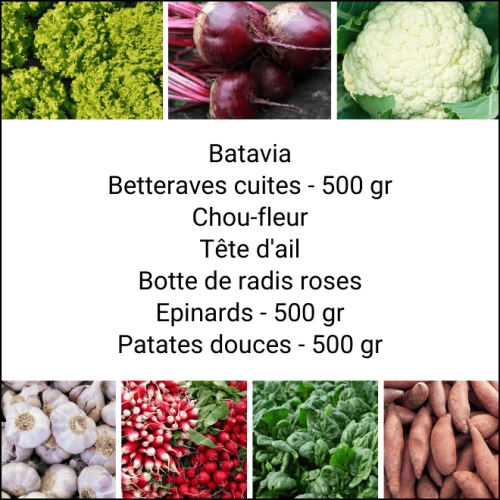 Panier MIDI Tout Légumes