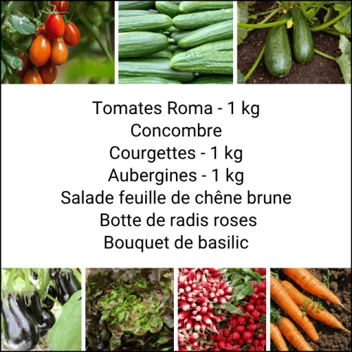 Panier MIDI Tout Légumes