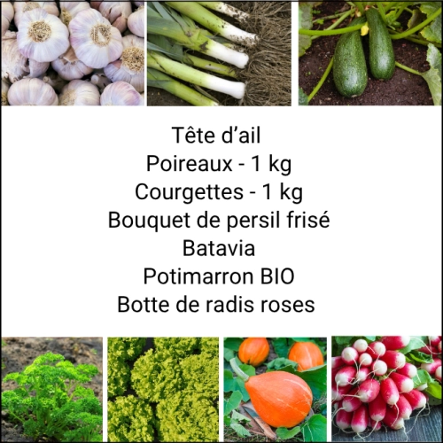 Panier MIDI Tout Légumes